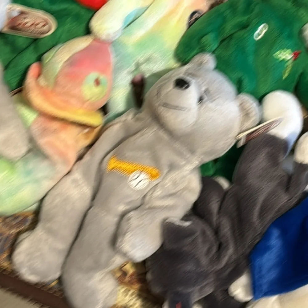 Beanie babies 13 and all
